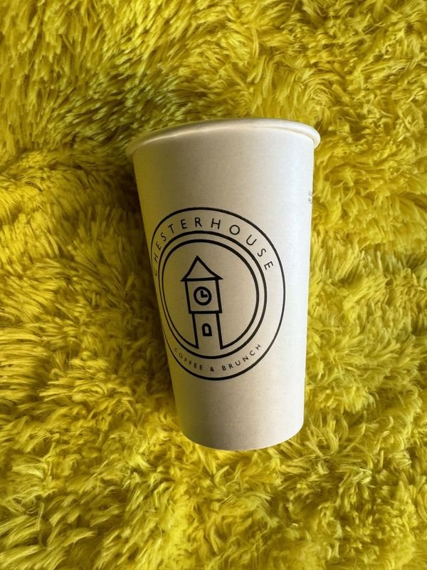 Vasos Descartables Polipapel Chesterhouse 450ml - Paquete x50 Unidades