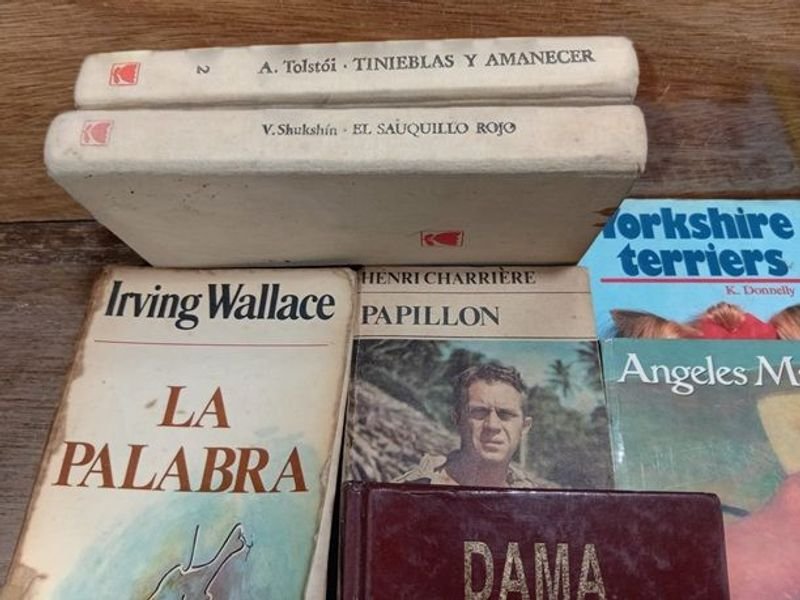 Colección de libros y novelas en español - imagen 5