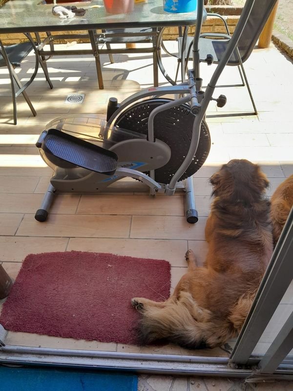 Item 901628 - Image 2