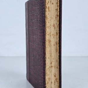 Mi Primer Viaje Literario de Garcilaso a Rodó, Edición Firmada por Clara Inés Zolesi - imagen 2