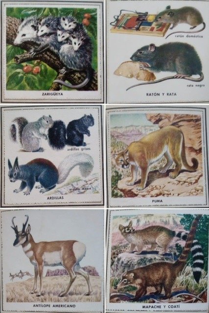 Item 27591 - Image 3