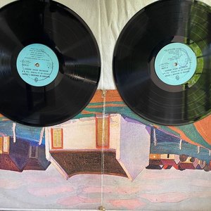 Lote de 2 Discos de Vinilo Usados - imagen 2