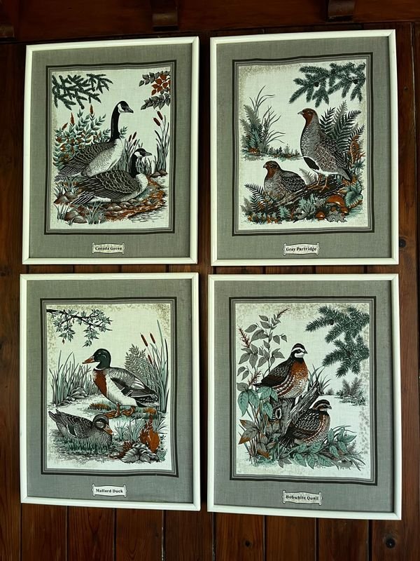 Colección de cuadritos decoración estilo aves - imagen 2