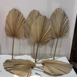Lote anterior: Palmas Secas Decorativas (Set de 5)