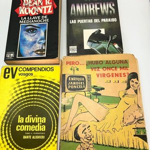 Lote de 4 Libros Usados: Koontz, Andrews, Dante y Jardiel Poncela - imagen 3