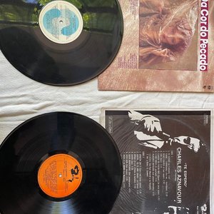 Lote de 2 Discos de Vinilo Usados - imagen 2