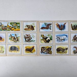 Álbum de Figuritas Vida y Color 1967 Completo - imagen 7