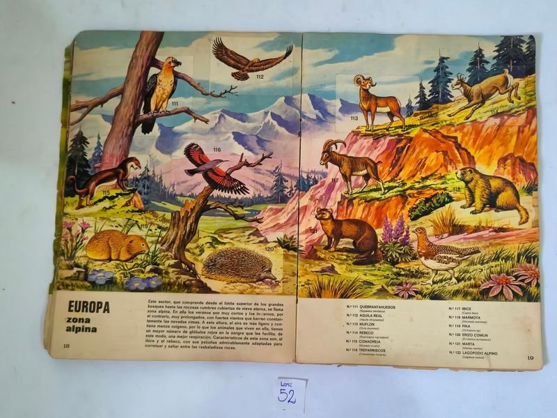 Item 844753 - Image 9