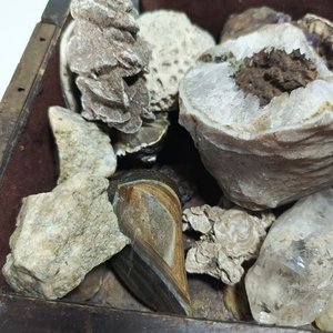 Lote anterior: Caja Antigua con Cristales y Piedras Semipreciosas