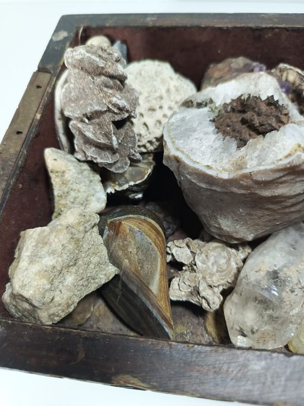 Caja Antigua con Cristales y Piedras Semipreciosas