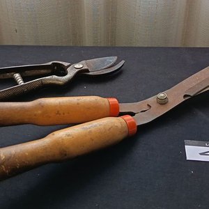 Dos Tijeras de Podar de Jardín con Mangos de Madera - imagen 1