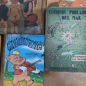 Lote de Libros Infantiles Clásicos con Tapa Dura - imagen 4