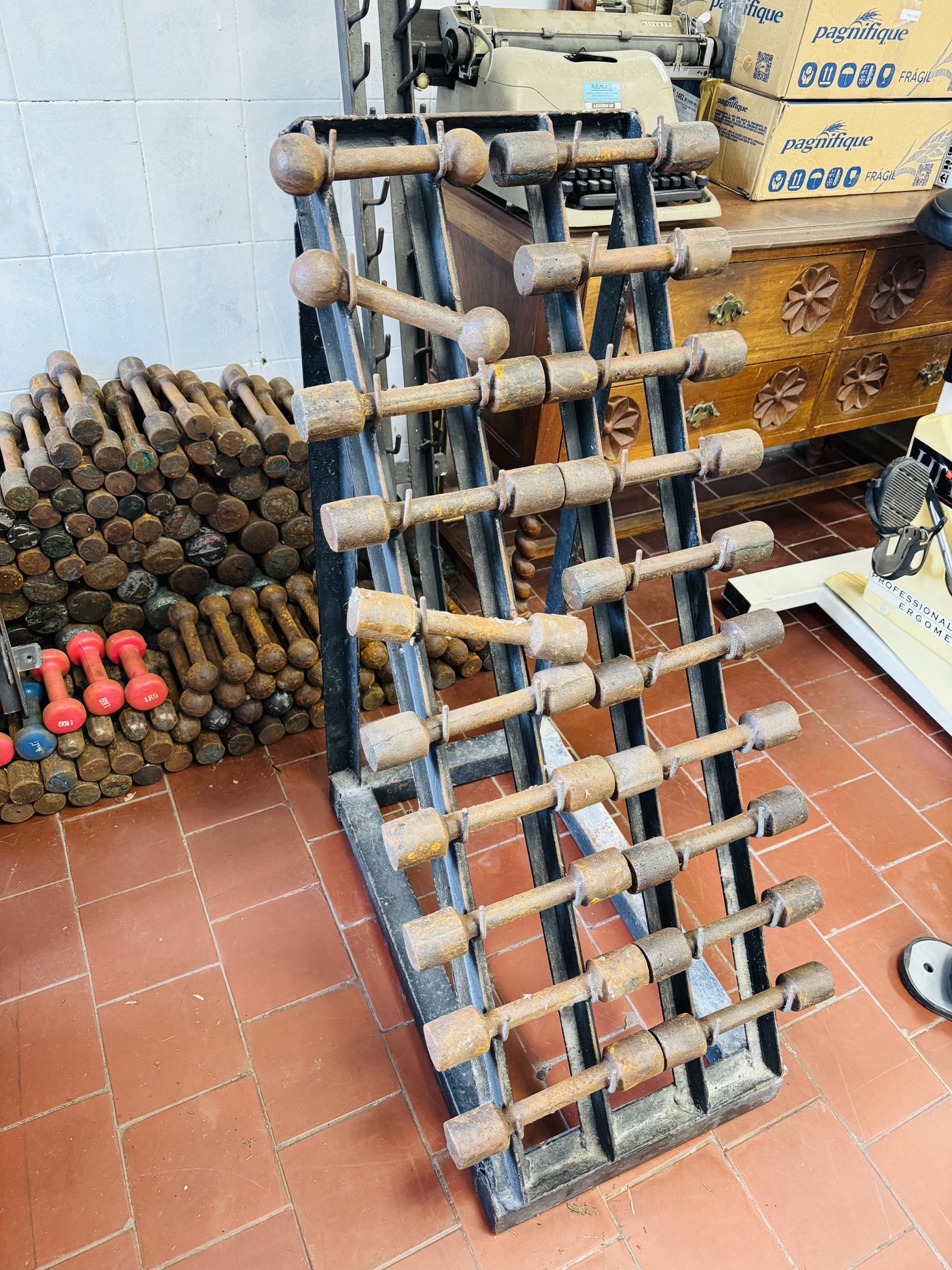 Lote de Mancuernas de Metal con Racks para Gimnasio