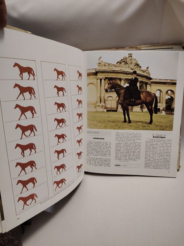 Item 901605 - Image 1