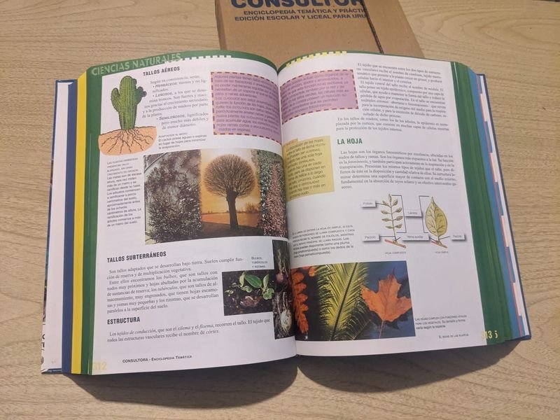 Item 848923 - Image 0