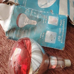 Lote anterior: Lámpara Infrarroja Ilumarba 250W - 220V