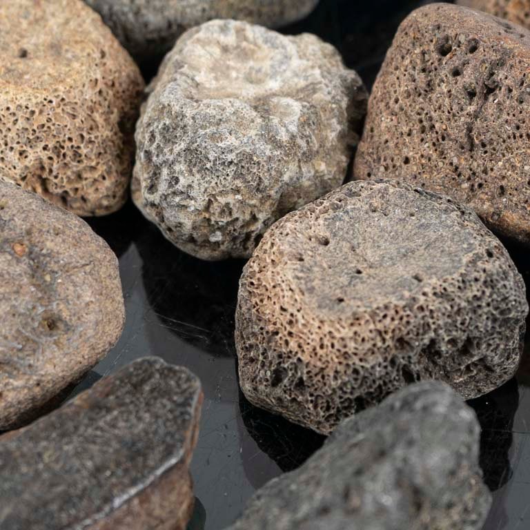 Lote siguiente: Colección de piedras fósiles de alta calidad