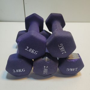 Lote siguiente: 5 Mancuernas Violetas de 2 kg Cada Una