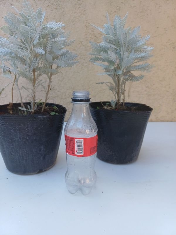 Item 894165 - Image 4