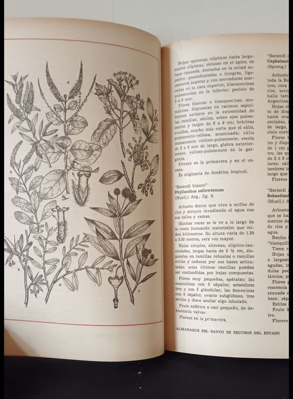 Item 833737 - Image 3