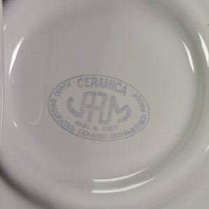 Dos Fuentes Grandes Ovalada y Circular de Loza Blanca Italiana - imagen 8