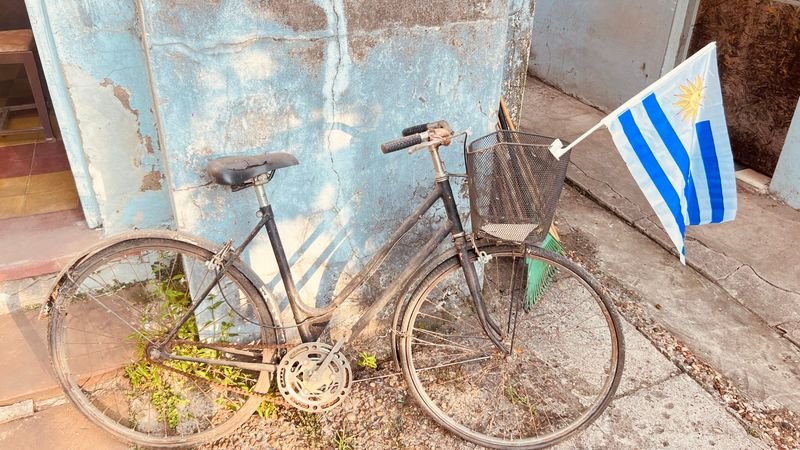 BICICLETA ANTIGUA PINTADA NEGRA - imagen 3
