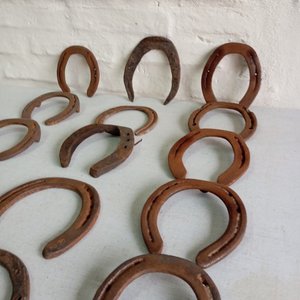 Lote de 15 Herraduras Metálicas Variadas - imagen 3