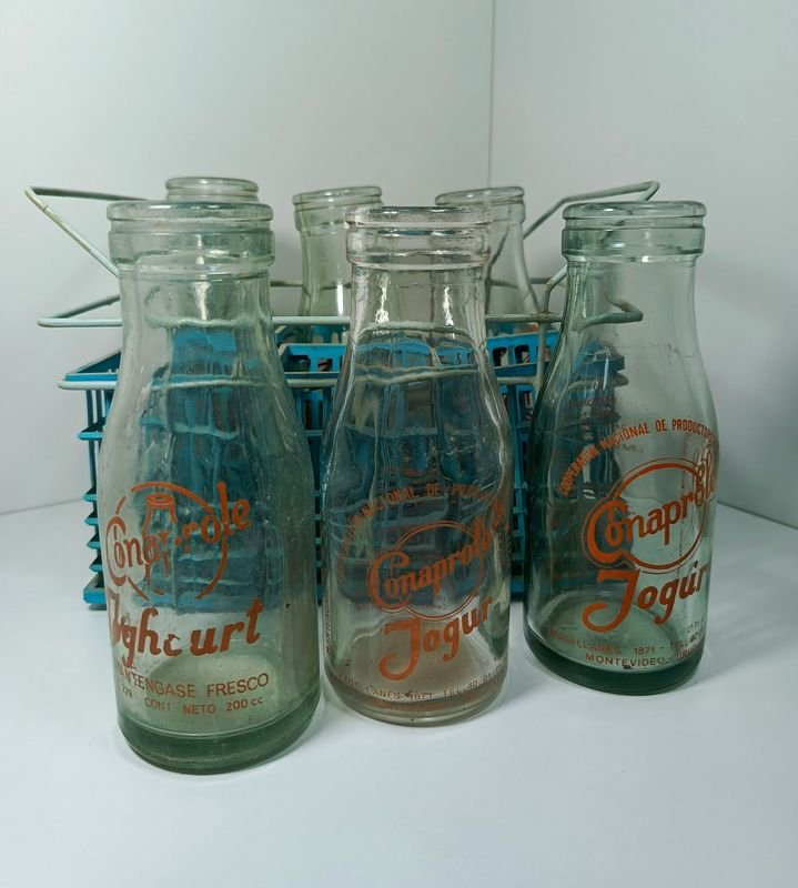 Lote anterior: Casillero de seis botellas de yogur y yogourth Conaprole