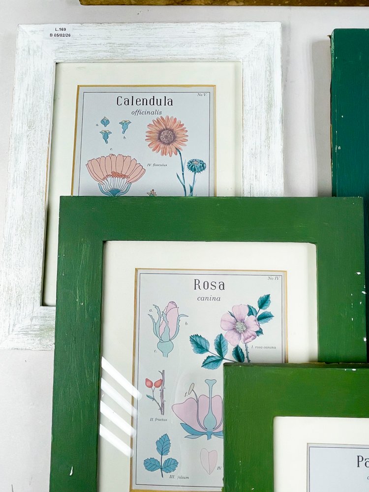 Item 495781 - Image 2