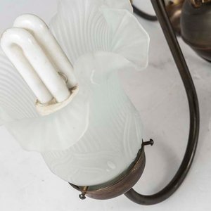 Par de Arañas Holandesas de Bronce con Tulipanes Opalinos - imagen 2