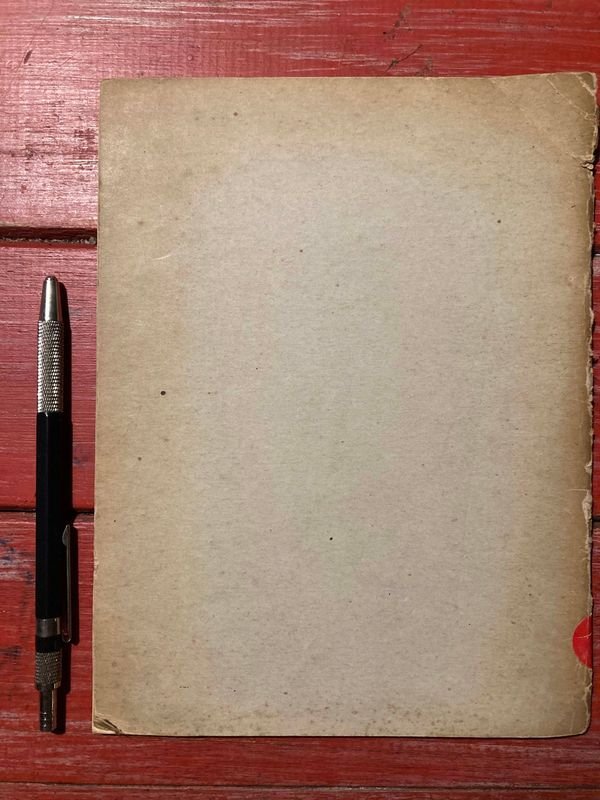 Libro de historia política: El Fascismo - imagen 2