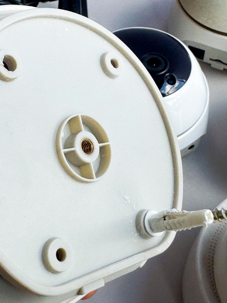 Item 496082 - Image 3