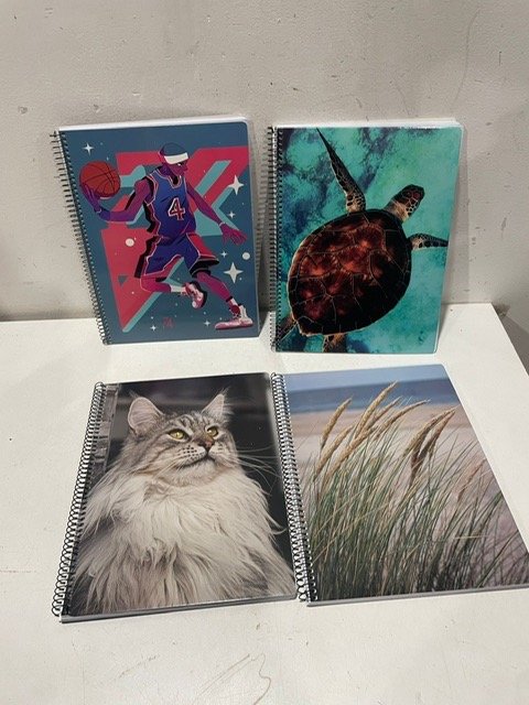 Lote siguiente: Cuadernos Coloridos con Libro, Gato y Tortuga