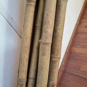 9 Cañas de Bambú Naturales de 4.10 m para Decoración y Jardinería - imagen 2