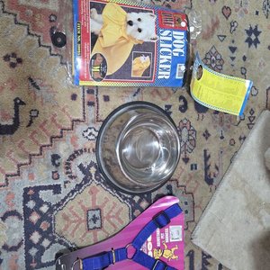 Árbol Rascador para Gatos y Accesorios para Mascotas - imagen 2