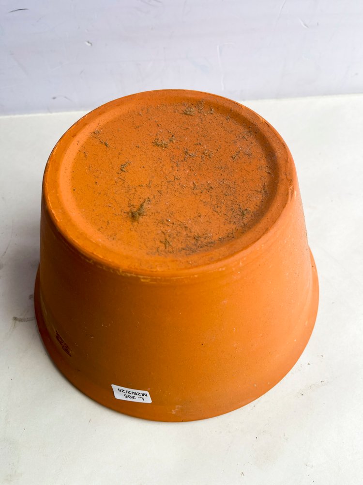 Item 502507 - Image 2