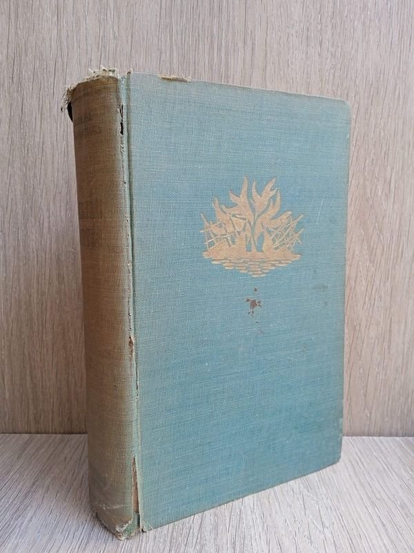 Lote siguiente: Libro de Historia de Hernán Cortés en buen estado