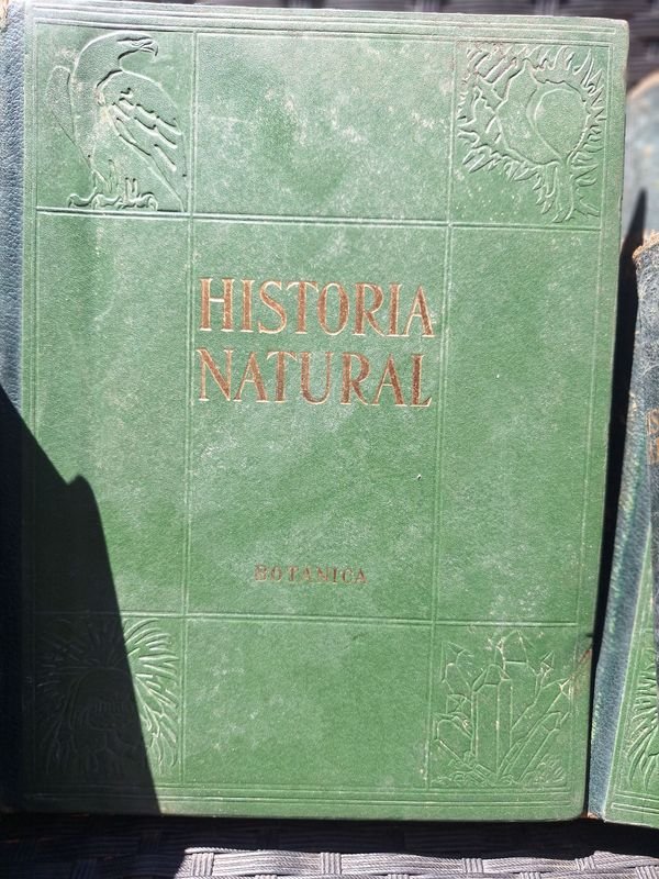 Item 873761 - Image 1