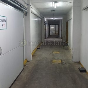 Planta Industrial CONAPROLE en Tarariras, Colonia - imagen 8