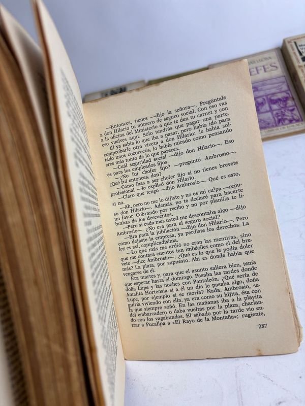 Colección de libros de Mario Vargas Llosa - imagen 14