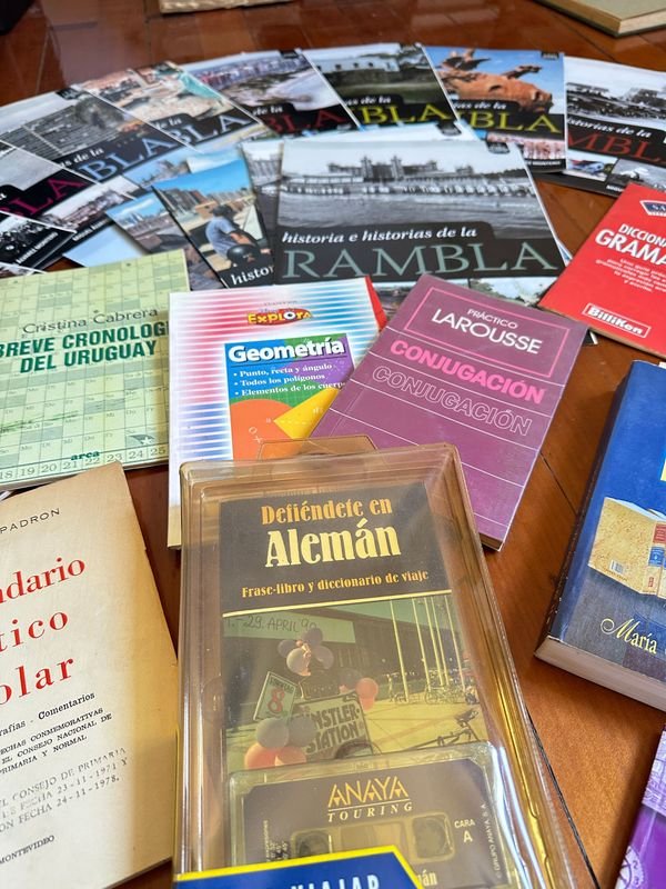 Colección de libros en español con reglas gramaticales y ortografía - imagen 11