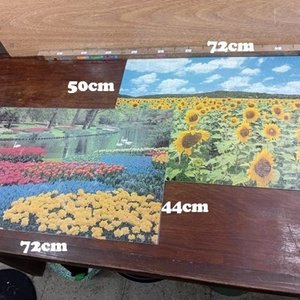 Lote anterior: Par de Puzzles Completos Plastificados: Campo de Girasoles y Jardín con Cisnes