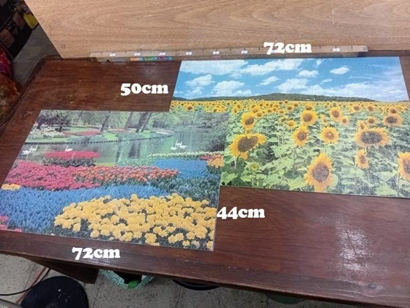 Par de Puzzles Completos Plastificados: Campo de Girasoles y Jardín con Cisnes