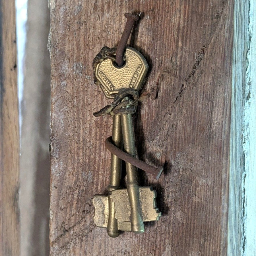 Puerta de dos hojas batientes en cedro con diseño de tablero y manotones de bronce - imagen 14