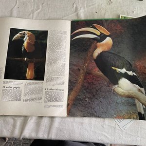 Lote de Libros y Tarjetas sobre Naturaleza, Aves y Geografía de Uruguay - imagen 3