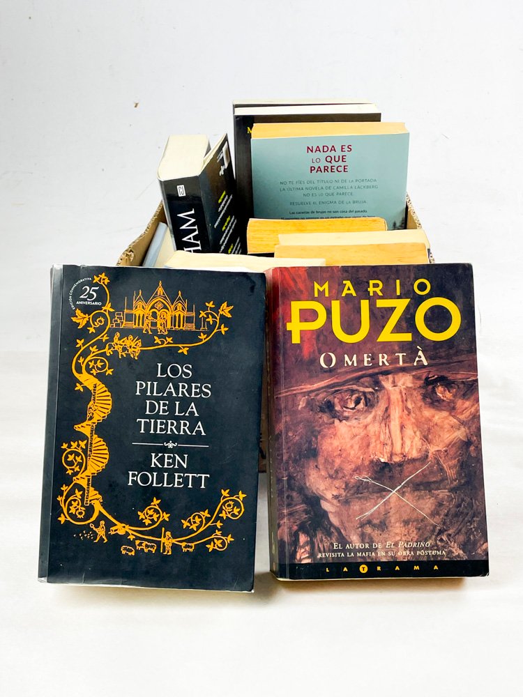 Lote siguiente: Libros de Ficción y Literatura