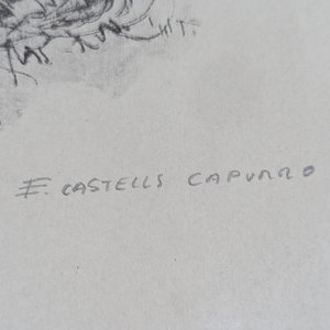 Serigrafía Firmada Enrique Castells Capurro: "P.A.", Paisaje Rural - imagen 6