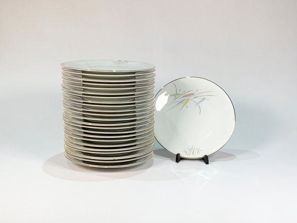 Lote de 24 Platos de Porcelana Bavaria Eddelstein Blancos con Hojas y Espigas - imagen 1