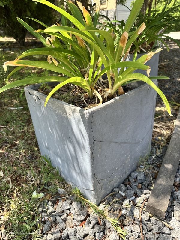 Item 904352 - Image 1