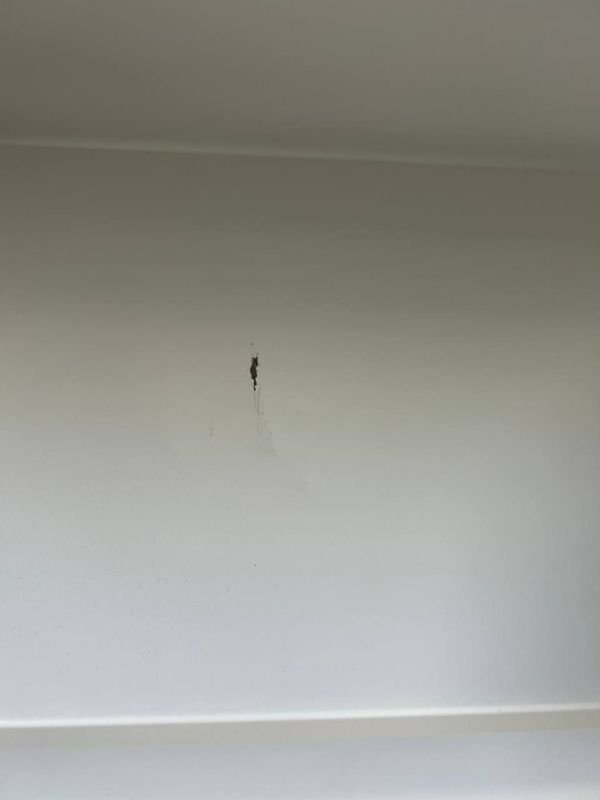 Item 845391 - Image 3